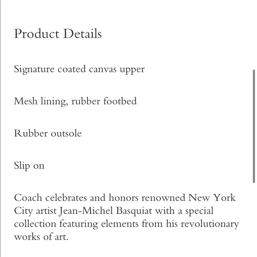 Coach x Jean-Michel Basquiat Slide - Picture 4 of 6